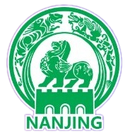 NanjingTeam